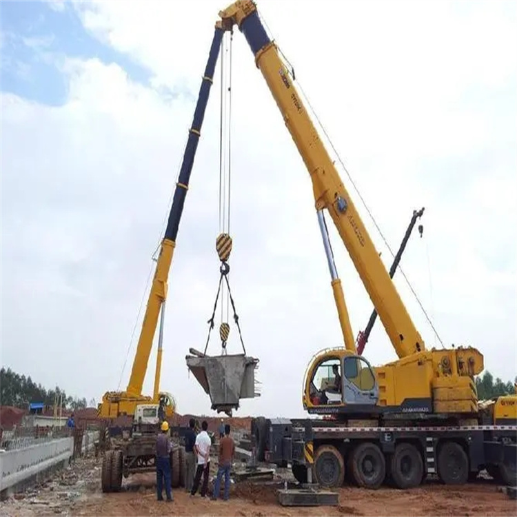 干驿镇小型吊机出租电话|厂房设备吊装方案|24小时服务覆盖